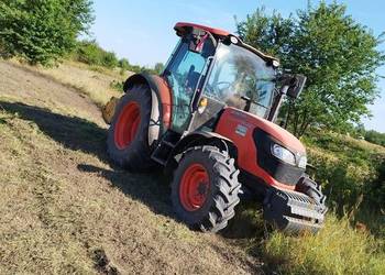 Usługi  czyszczenia działek koszenia kosiarką bijakową mulczerem