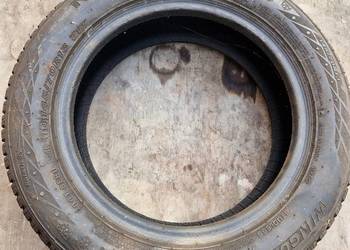 Opona Nexen Winguard 145x70 R13