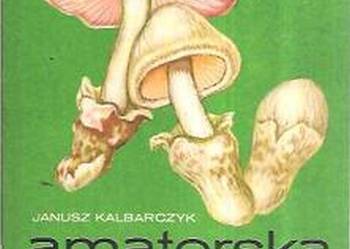 AMATORSKA UPRAWA GRZYBÓW