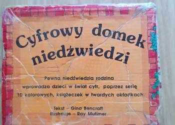 Cyfrowy domek niedźwiedzi 10szt