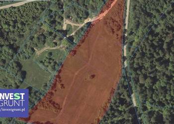 [8,80 ha] grunty rolne przetarg na dzierżawę