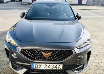 Witam na sprzedaż cupra