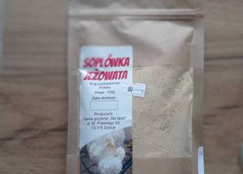 REISHI, SHITAKE , SOPLÓWKE