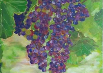 Obraz 40x60, akryl na płótnie - pejzaż, winorośl