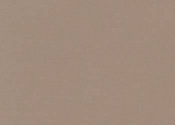 Eko Skóra Rush 695g/m2 137cm kolor Bronze Mist / RU-207