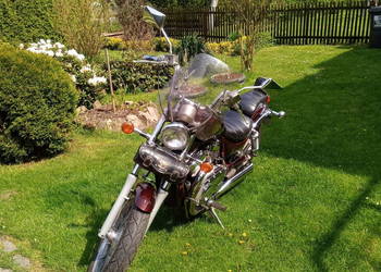 SUZUKI INTRUDER