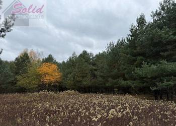 Duża atrakcyjna działka z warunkami zabudowy w atrakcyjnej cenie!