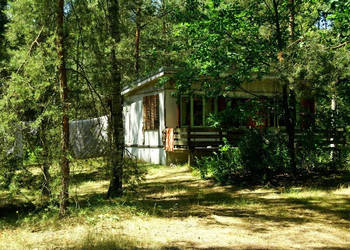 7810m2/działka bud. 4965m2/2845m2LAS