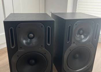 Behringer Truth B2031A – para monitorów