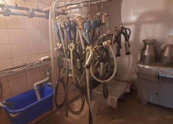 Sprzedam dojarkę bezprzewodową