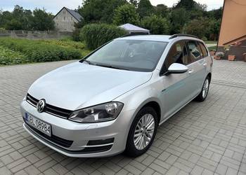 Volkswagen Golf 7 1.6 TDi