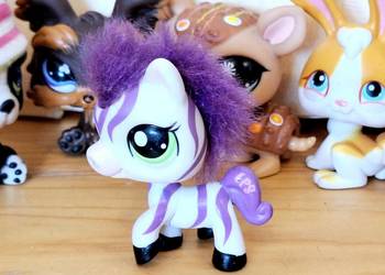 Zebra puchata fiolet Littlest Pet Shop