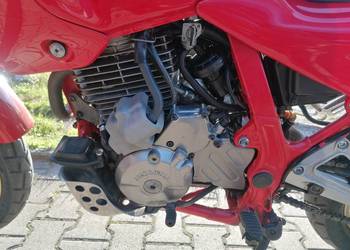 Honda dominator nx 650 rd02