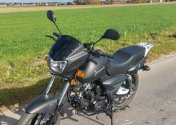 Sprzedam Pięknego Junaka