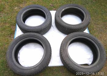 Dębica/ Frigo / 205/55 r16 / 91T / zimowe