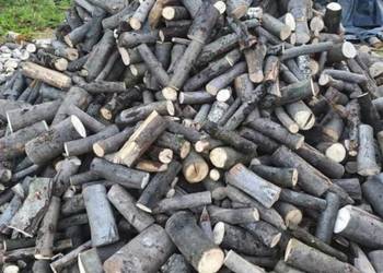 Gałęziówka oraz Drewno Kominkowe Buk Dąb Grab Brzoza Sosna Jesion SUCHE