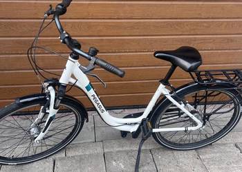 Rower Pegasus Solero SL