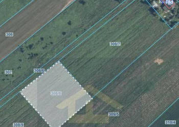 Działka w Chrośnie gmina Kołbiel