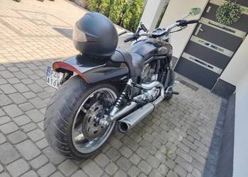 Harley vrod muscle zamiana