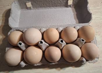 Jajka wiejskie, świeże
