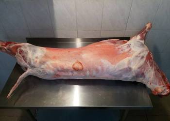 Jagnięcina świeża