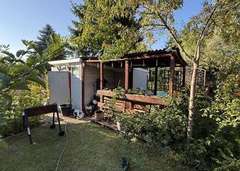 Działka ROD Stilon os. Manhattan – 300 m² | Altana, pergola, prąd, woda | L