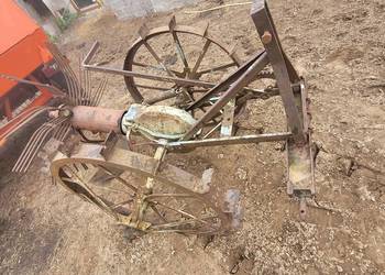 Kopaczka gwiazdowa R10