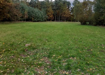 Działka o oz. Pastwisko