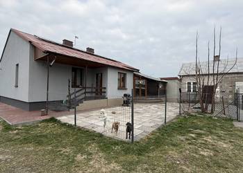 Siedlisko 1 ha dom 120m2 i budynki 700 m2 hodowla , hotel przytulisko