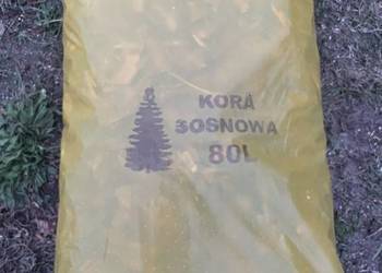Kora ogrodowa