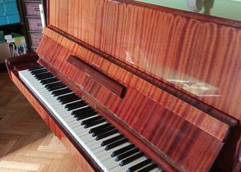 Pianino Białoruś