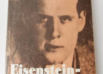 EISENSTEIN ARTYSTA MYŚLICIEL - WIERZEWSKI WOJCIECH