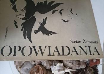 Opowiadania najtaniej Żeromski lektury szkolne księgarnia