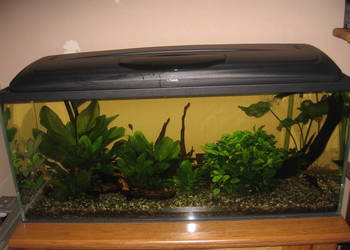 Akwarium 120x40x50m , szkło 10mm Optiwhite