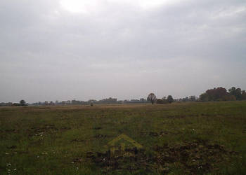 Działka w Całowaniu