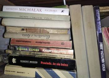 Powiedz, że się boisz Mason książki antykwariat internetowy