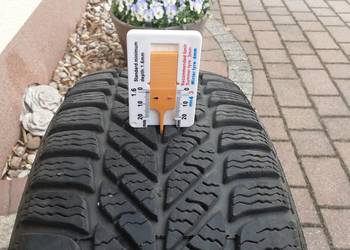 175 65 R14 Opony zimowe Dębica Frigo 2