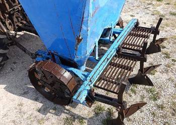 Sadzarka do ziemniaków Polska