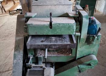 Grubosciowka heblarka