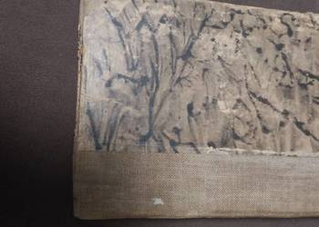 Robinzon Amerykański