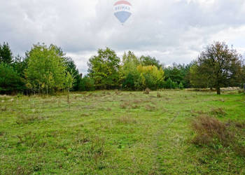Działka 2533m2 pod usługi, Radziejowice Parcel