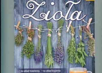 Zioła Naturalne sposoby na różne dolegliwości