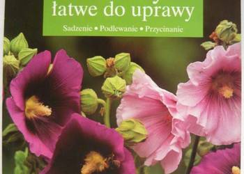 ROŚLINY ŁATWE DO UPRAWY - COURTAT EMILIE