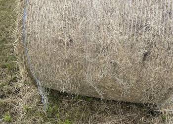 Siano w balotach 120x120