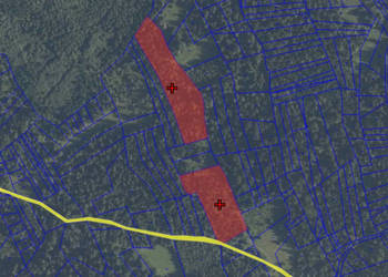Działki leśne PODWILK