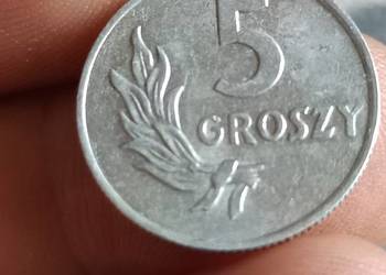 Sprzedam  groszy 1949 rok jjjj