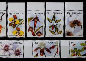 Grenada storczyki