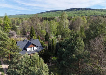 Sprzedaż gruntu 96.77m2 Święta Katarzyna