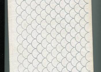 Anatomia i embriologia ryb