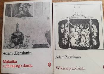 Adam Ziemianin- W kącie przedziału, Makatka z płonącego domu